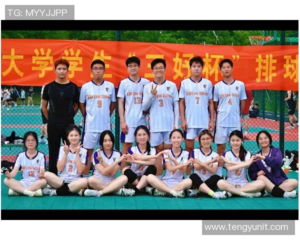 深圳排球队引领最新排球节奏TOP10榜单展现实力与魅力