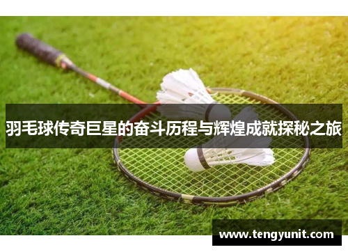 羽毛球传奇巨星的奋斗历程与辉煌成就探秘之旅