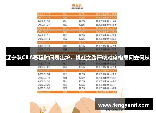 辽宁队CBA赛程时间表出炉，挑战之路严峻难度格局何去何从