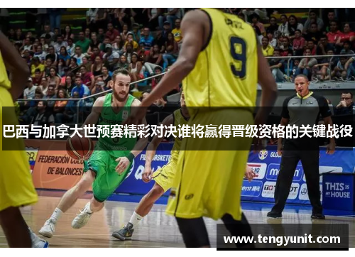 巴西与加拿大世预赛精彩对决谁将赢得晋级资格的关键战役